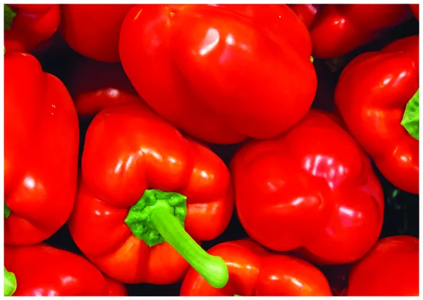 A pimenta vermelha fresca — Fotografia de Stock