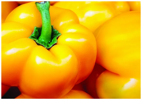 The fresh yelow pepper — Stok fotoğraf