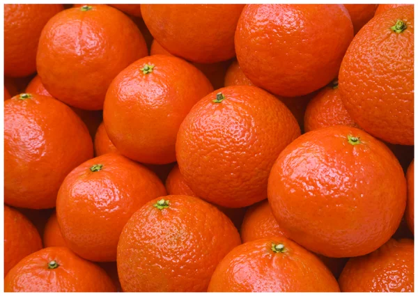 As tangerinas coloridas frescas — Fotografia de Stock