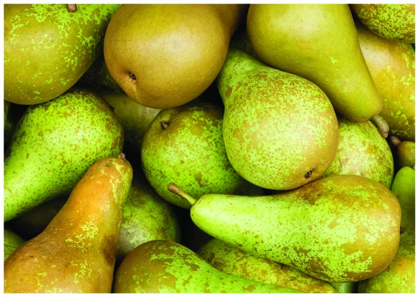 De färska päron — Stockfoto