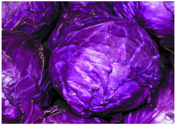 The fresh blue cabbage — Stock Photo, Image