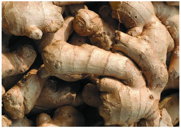 stock image The fresh ginger