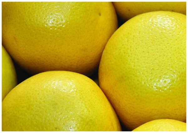 Die frischen Zitronen — Stockfoto