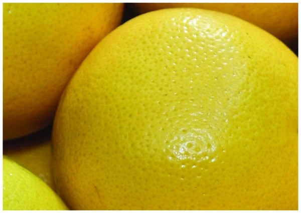 Die frische Zitrone — Stockfoto