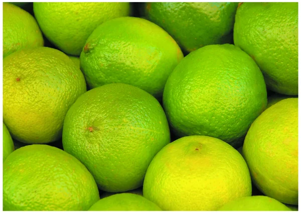 Le citron vert coloré frais — Photo