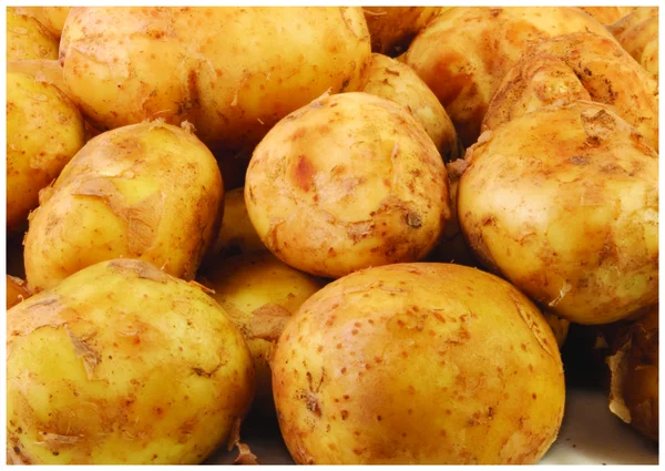 The fresh small patatoe — Stock Photo, Image