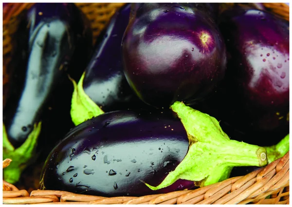 L'aubergine colorée fraîche — Photo