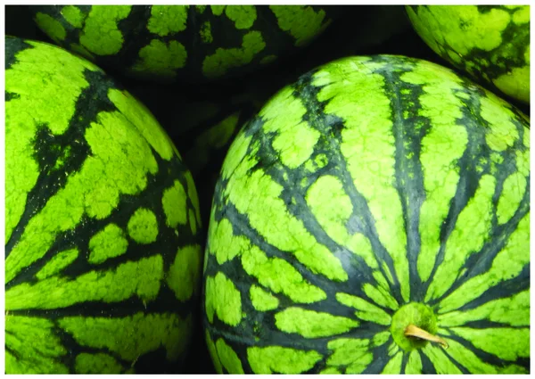 Nové barevné meloun — Stock fotografie
