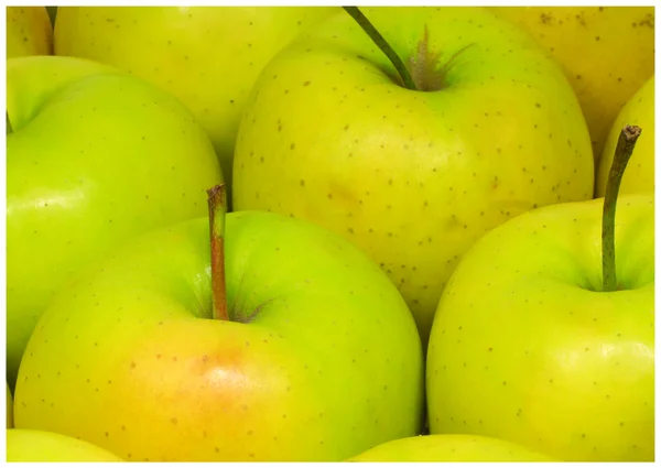 Der frische gelbe Apfel — Stockfoto