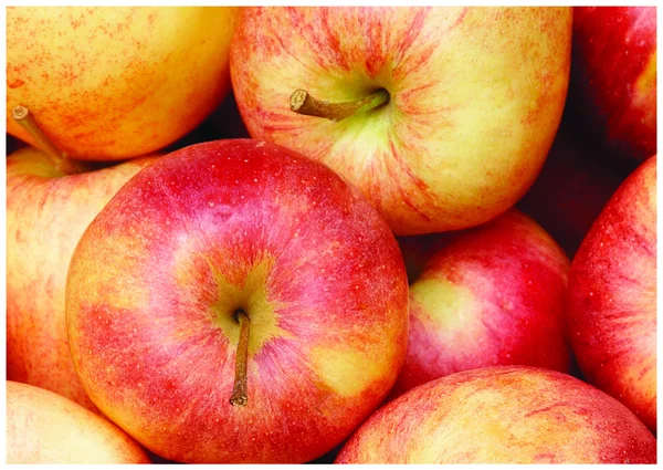 Der frische süße Apfel — Stockfoto