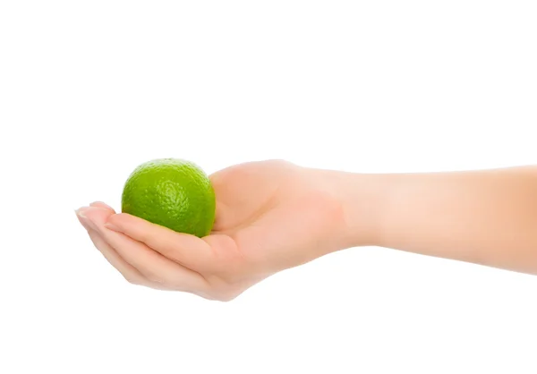 Woman's hands with lime — Stock Photo, Image