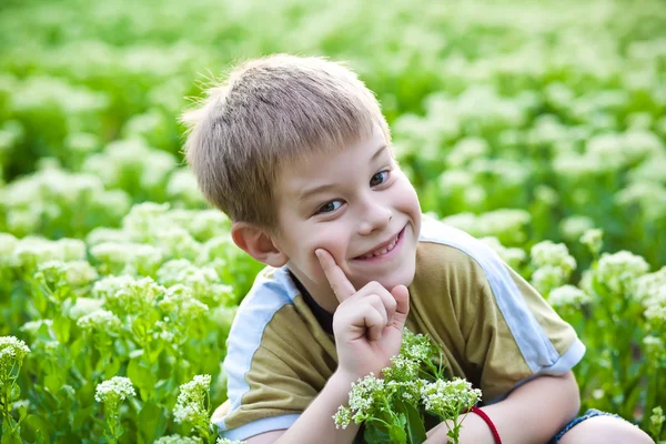Ευτυχισμένο αγόρι στο καταπράσινο γρασίδι — Φωτογραφία Αρχείου