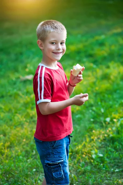 Oğlan dondurma yiyor — Stok fotoğraf