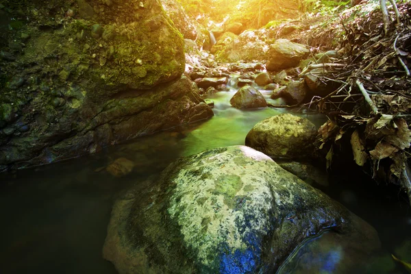 Ruisseau forestier avec cascade et rochers — Photo