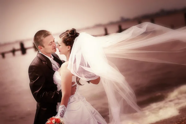 Жених и невеста на побережье — стоковое фото