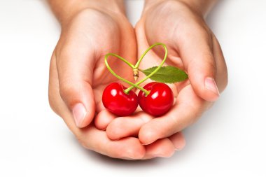 Palm with two cherries in the form of heart clipart