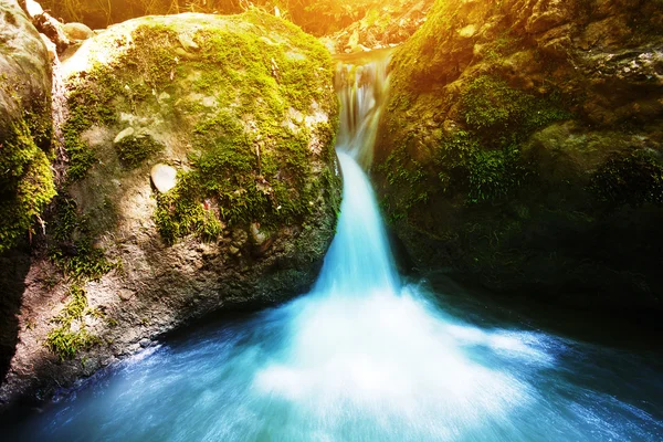 stock image Forest stream with a waterfall and green moss