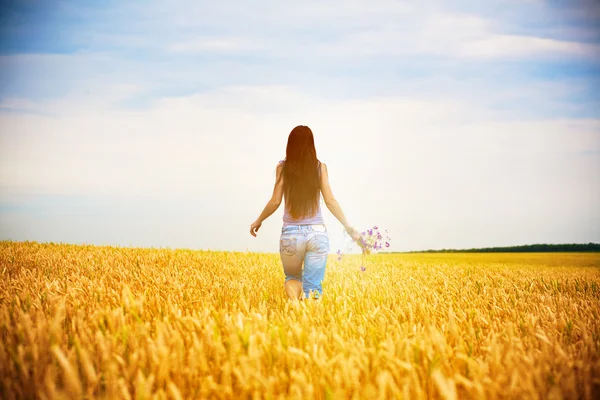 Girl is picking flowers on the yellow field — Stock Photo, Image