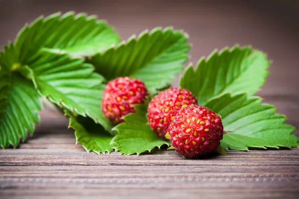 Ripe berries of wild strawberries on green leaves — Stock Photo, Image