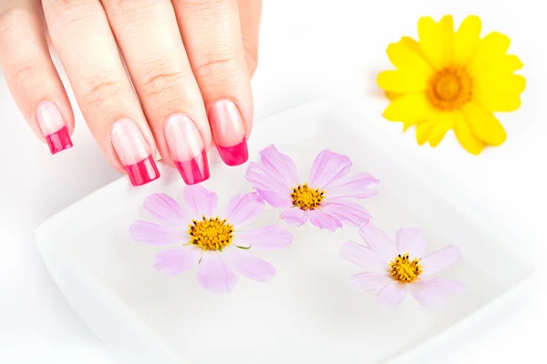 Handen met manicure ontspannen in water en bloemen — Stockfoto