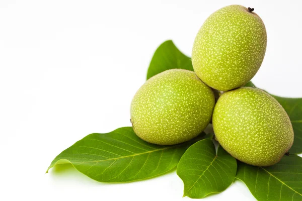 stock image Green walnuts with leaves isolated on a white