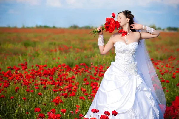 Beautiful bride in a poppy field — Stock Photo, Image
