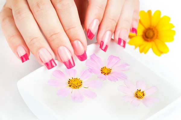 Mãos de mulher com manicure rosa. bandeja de manicure — Fotografia de Stock