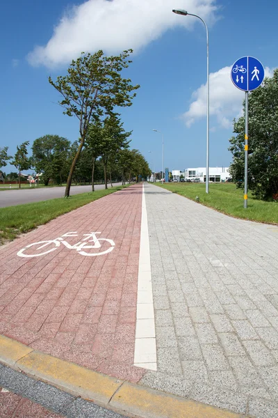 Pista ciclabile asfaltata — Foto Stock