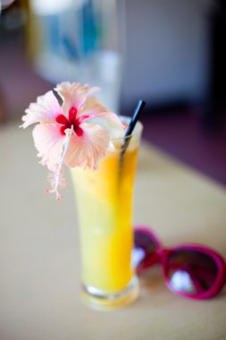 egzotik tropik kokteyl hibiskus çiçek üst