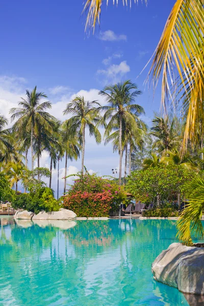 Piscina de água azul rodeada de palmeiras — Fotografia de Stock
