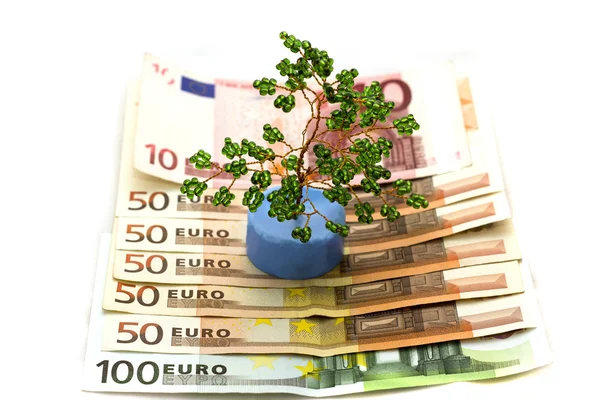 Euro i drzewo — Zdjęcie stockowe