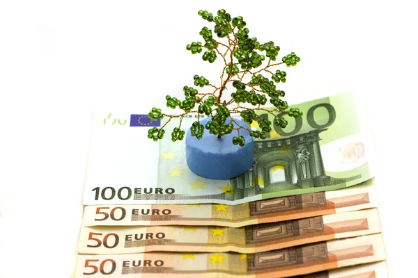 Euro i drzewo — Zdjęcie stockowe