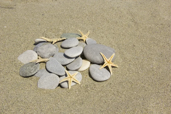 Stones with starfishes — Stock Photo, Image