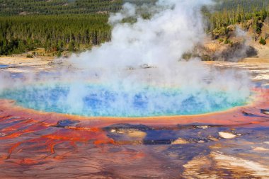 Grand Prizmatik bahar Yellowstone