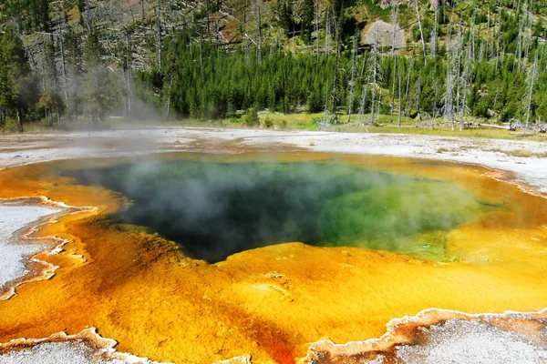 Smaragdgrüne Quelle in Yellowstone — Stockfoto