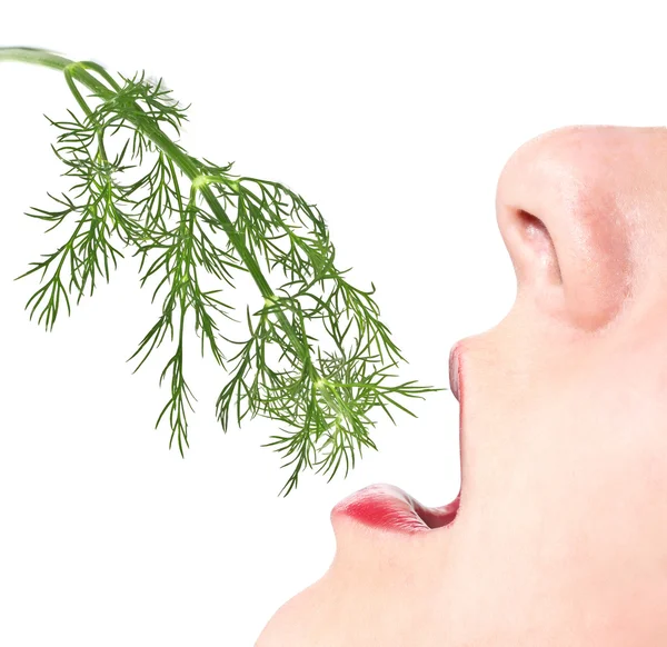 Woman eats a sprig of dill — Stock Photo, Image