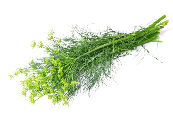 Branch of fresh dill isolated on a white background — Stock Photo, Image