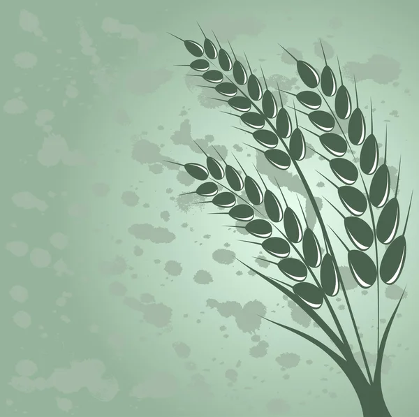 Oreille de blé en arrière-plan grange — Image vectorielle