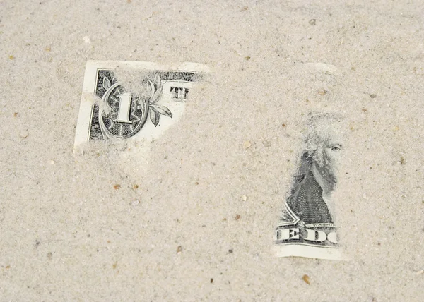 Dollar unter dem Sand — Stockfoto