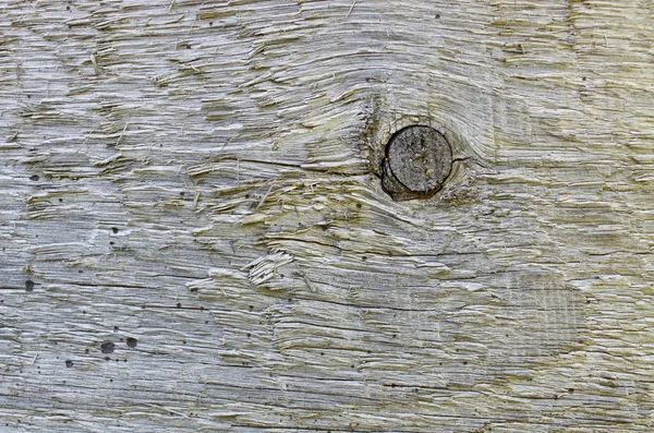 Gnarl ile eski tahta — Stok fotoğraf