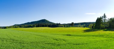 yeşil çayır ile Panorama