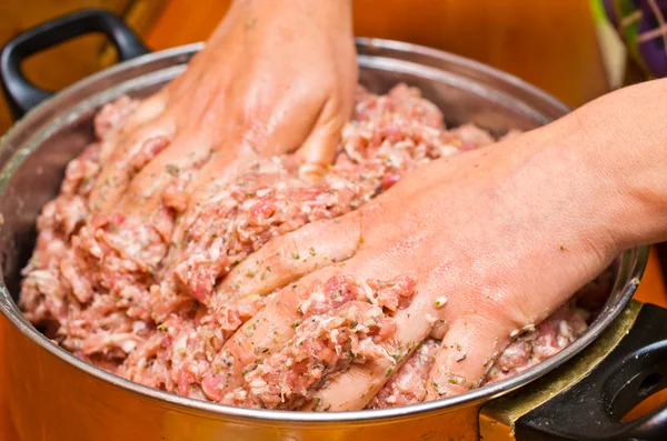 Mistura de carne picada — Fotografia de Stock