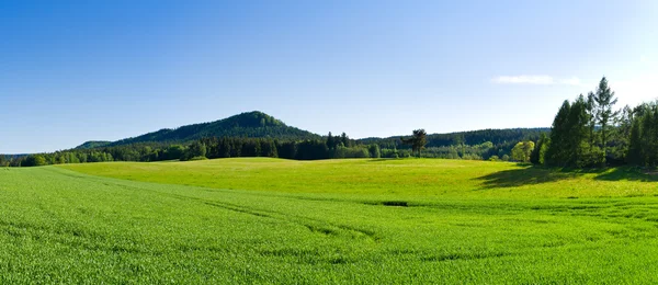 Panorama with green meadow — Stock Photo, Image