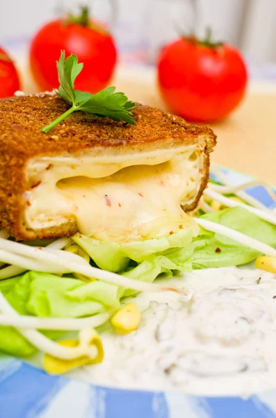 Tatar soslu kızarmış peynir — Stok fotoğraf