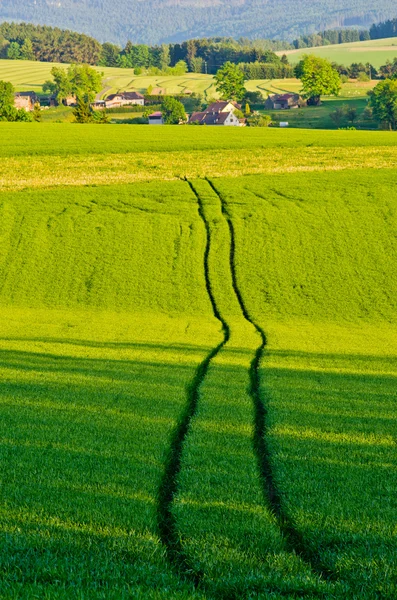 Paesaggio agricolo con la traccia — Foto Stock