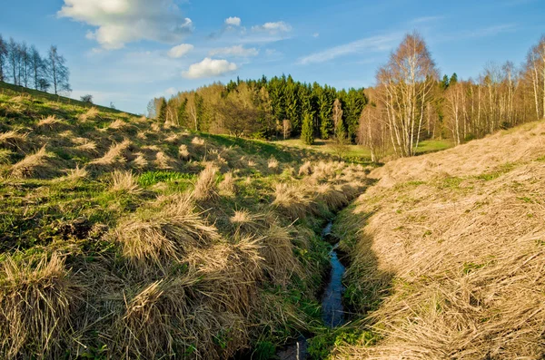 Landschap met stream — Stockfoto