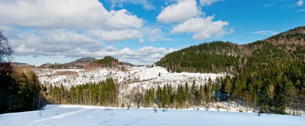 Panorama hivernal — Photo