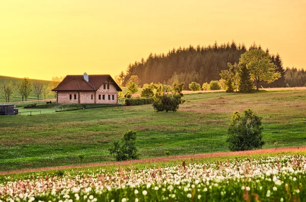 Spring meadow with cottage — Stock Photo, Image