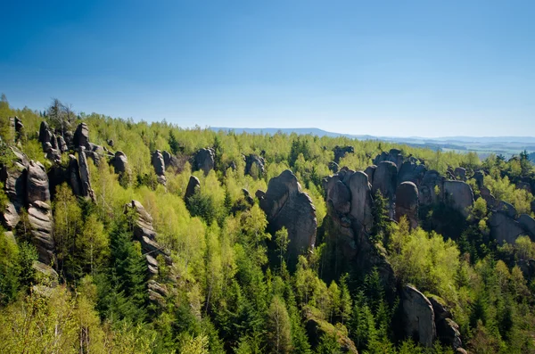 Duże skały w lesie — Zdjęcie stockowe