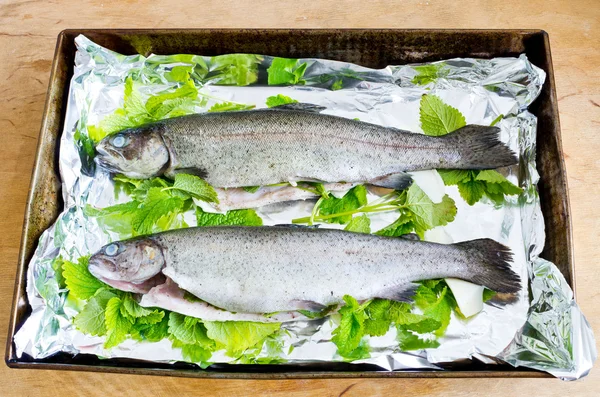 Trouts with melissa — Stock Photo, Image